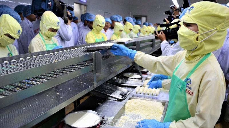 Thủy sản Minh Phú (MPC) chốt ngày chia cổ tức 23% và thưởng 1:1