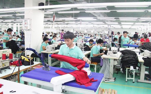 Cổ phiếu PPH 'tím lịm' sau khi công bố kết quả kinh doanh tăng trưởng bằng lần