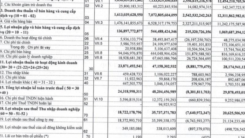 Vimedimex (VMD) lỗ 7,6 tỷ đồng trong năm 2022, tài sản 'bốc hơi' 45%