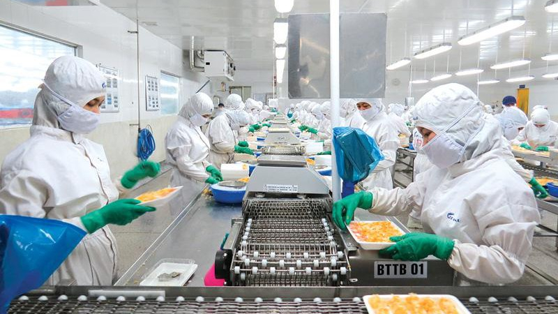 Cổ phiếu của ông lớn ngành tôm - FMC 'tím lịm' khi tình hình kinh doanh khởi sắc
