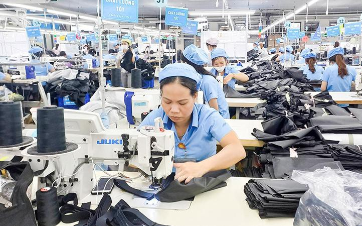 Garmex Sài Gòn (GMC) báo lỗ 9 tháng hơn 44 tỷ đồng, cắt giảm nhân sự còn 37 người