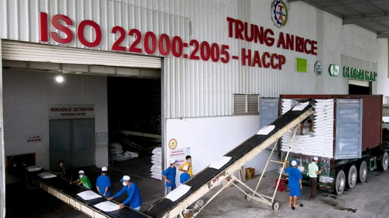 Gạo Trung An (TAR) và Chủ tịch HĐQT Phạm Thái Bình bị xử phạt gần 600 triệu đồng