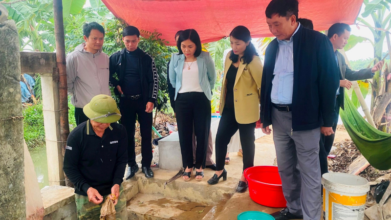 Nuôi loài được ví như 'lộc trời' kết hợp trồng lúa ST25, nông dân một xã của tỉnh Hải Dương thu lãi 618 triệu đồng/ha