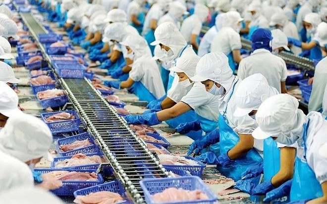 Uỷ ban Chứng khoán yêu cầu Vĩnh Hoàn (VHC) công bố thông tin tài chính đúng quy định