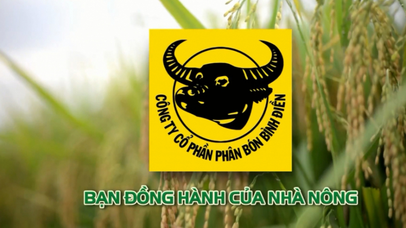 Phân bón Bình Điền (BFC) chốt danh sách tạm ứng cổ tức đợt 1/2023