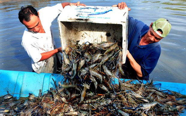 Nhiều nước CPTPP đang tăng cường điều tra phòng vệ thương mại