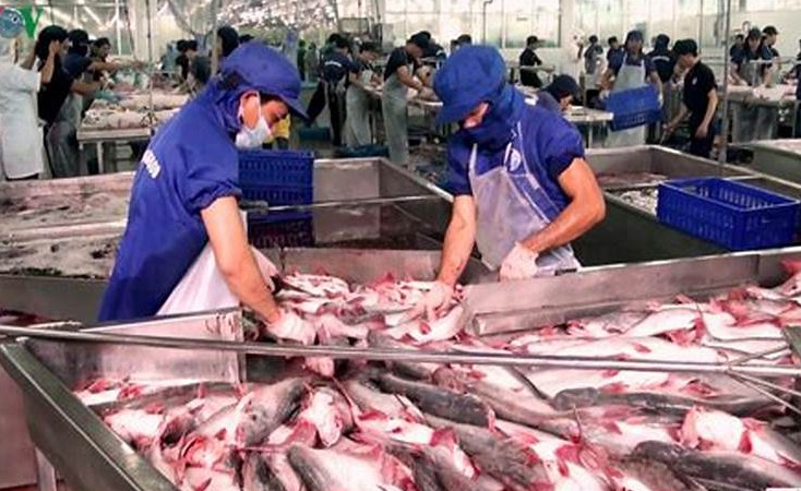 VASEP: Cần cắt giảm hoạt động thanh tra, kiểm tra không cần thiết đối với doanh nghiệp