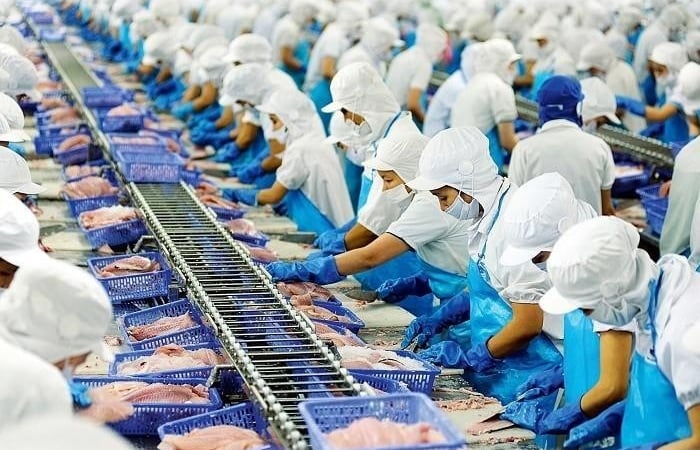Vĩnh Hoàn (VHC) chốt ngày trả cổ tức còn lại năm 2022, tỷ lệ 20%