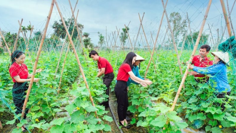 Agribank xây dựng Đề án triển khai ESG toàn diện, cấp hơn 12.000 tỷ đồng tín dụng xanh