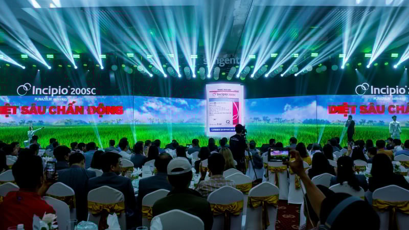 Syngenta giới thiệu sản phẩm Incipio® 200SC với khả năng công phá mạnh mẽ tính kháng trên sâu hại