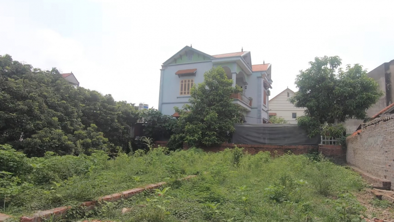 danviet.vn