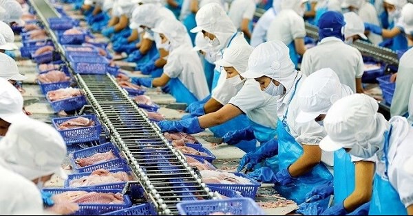 Vĩnh Hoàn (VHC): Doanh thu tháng 3/2023 vượt 1.000 tỷ đồng