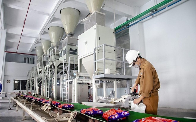 Hoá chất Đức Giang (DGC): Lợi nhuận 'đi lùi' 3 quý liên tiếp