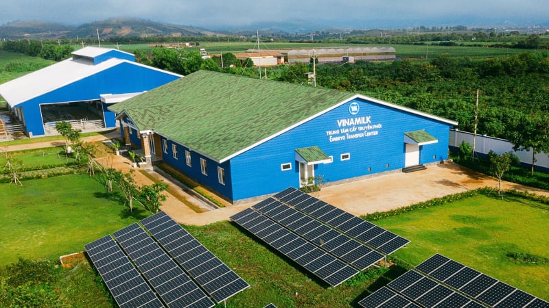Vinamilk (VNM) trình mục tiêu năm 2023 lợi nhuận hơn 8.600 tỷ đồng, cổ tức tối thiểu 50%