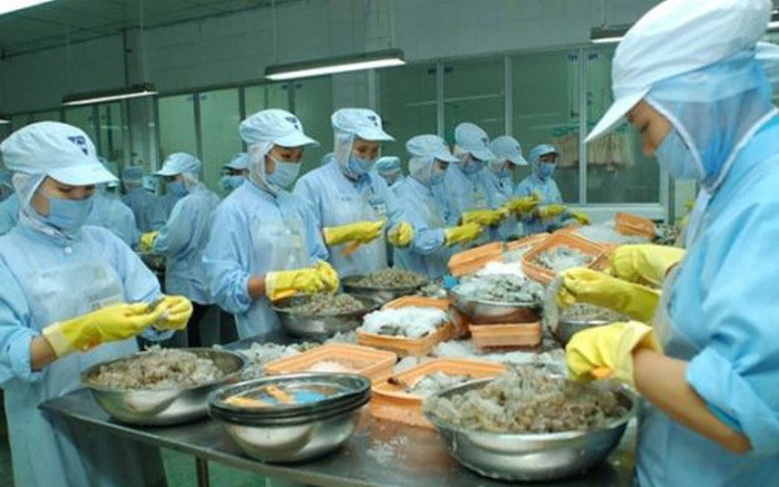 Thủy sản Thuận Phước (THP): Mục tiêu xuất khẩu thủy sản đạt 130 triệu USD, giá cổ phiếu vừa về 'mệnh'