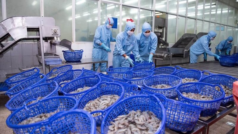 Thực phẩm Sao Ta (FMC) tiết lộ thị trường có tỷ suất lợi nhuận siêu tốt, sẽ dốc toàn lực để phát triển