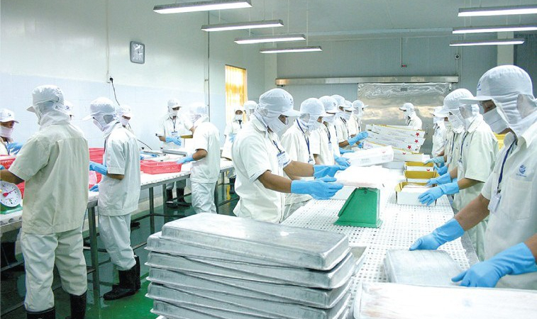 Người nhà Chủ tịch Thủy sản Cửu Long An Giang (ACL) đăng ký thoái toàn bộ vốn