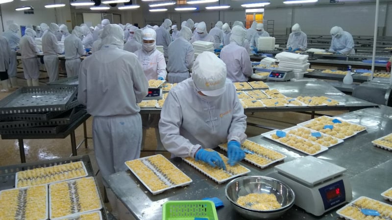 Camimex Group (CMX) lên mục tiêu lãi tăng 13%, đầu tư nuôi tôm công nghệ cao trong năm 2023