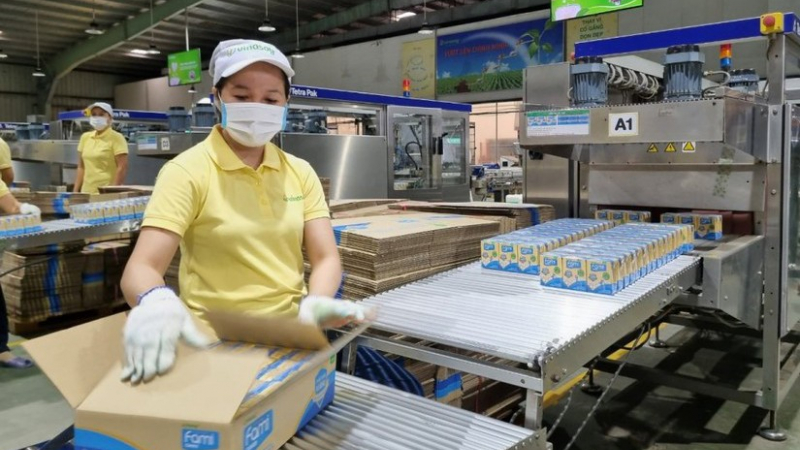 Đường Quảng Ngãi (QNS) lãi đậm trong quý I/2023 nhờ doanh thu mảng đường tăng vọt 80%
