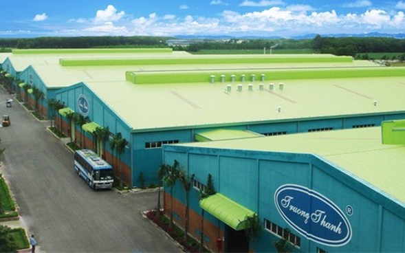 Gỗ Trường Thành (TTF) báo lãi lao dốc 90% còn vỏn vẹn 1,8 tỷ đồng