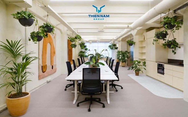 Cổ phiếu TNA 'loay hoay giá đáy' 5.000 - 6.000 đồng/cp, lãnh đạo Thiên Nam Group nói gì?