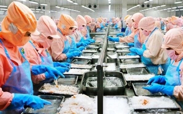 Minh Phú (MPC) lên kế hoạch lãi giảm 20%, cổ tức 2023 dự chia 50-70% lợi nhuận sau thuế