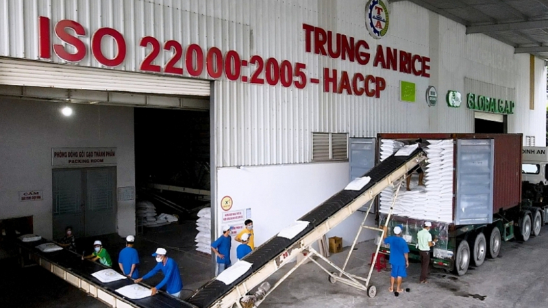 
Trung An Rice (TAR) 'lấn sân' sang điện rác, DN Nhật Bản muốn hợp tác làm thành phẩm sau gạo