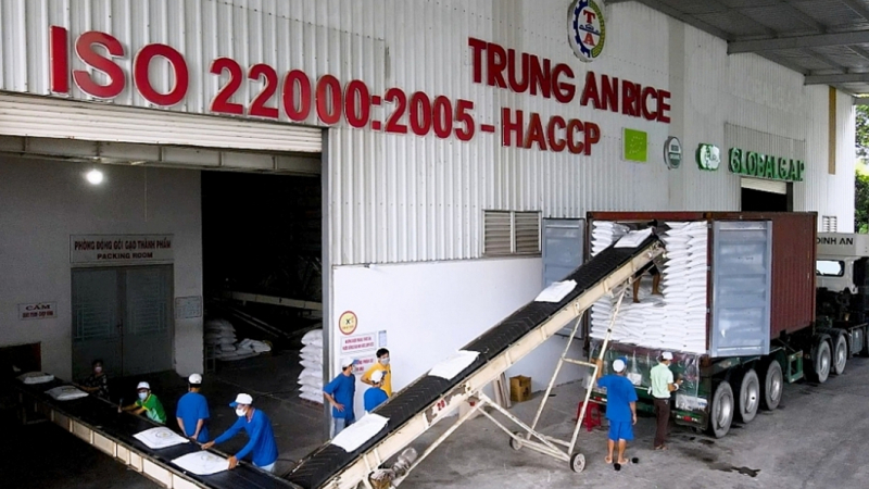 Trung An (TAR) lộ tham vọng lớn về xuất khẩu lúa gạo, muốn chào bán hơn 76 triệu cổ phiếu