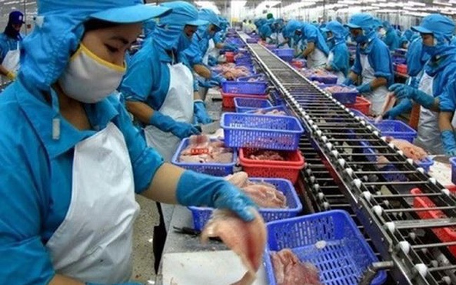 Thủy sản Mekong (AAM): Lợi nhuận quý II 'lao dốc', chỉ đạt 1,1 tỷ đồng