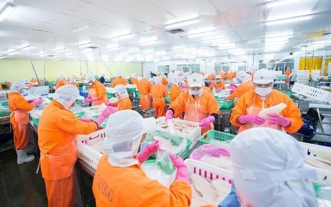 Nam Việt (ANV): Con trai Tổng giám đốc Doãn Tới đăng ký bán hơn 4 triệu cổ phiếu