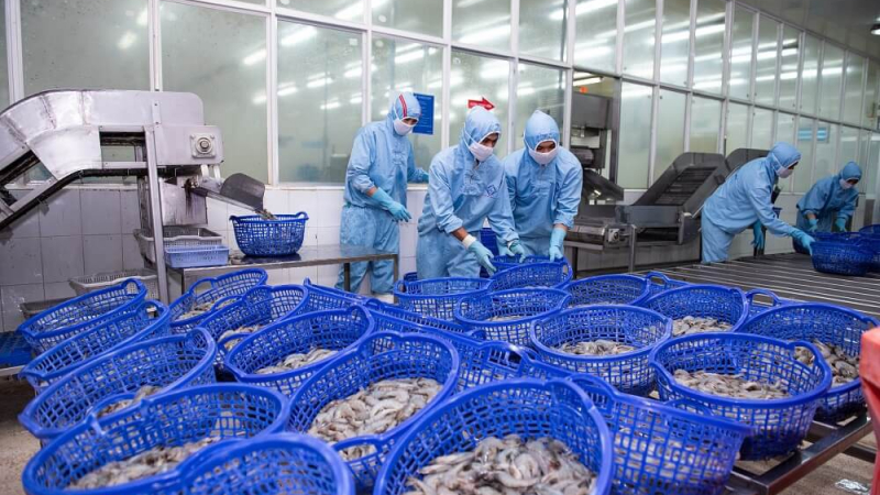Thực phẩm Sao Ta (FMC) báo lãi quý II giảm 35%, nhưng xuất khẩu đã “sáng” trở lại từ tháng 6