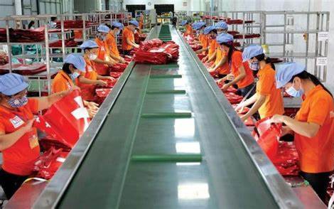 Doanh thu tịnh tiến, vì sao lợi nhuận trước thuế của Thuận Đức (TDP) vẫn 'bốc hơi' 80%?
