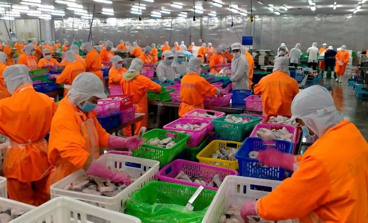 Vì đâu lợi nhuận Nam Việt (ANV) lỗ tới 51 tỷ đồng trong quý II/2023?