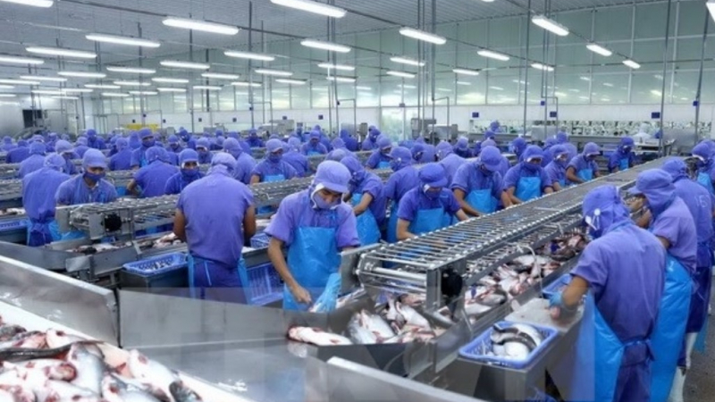 Vĩnh Hoàn (VHC) tiếp tục chốt ngày trả cổ tức 2023 bằng tiền ngay sau khi hoàn tất tăng vốn lên hơn 2.200 tỷ đồng