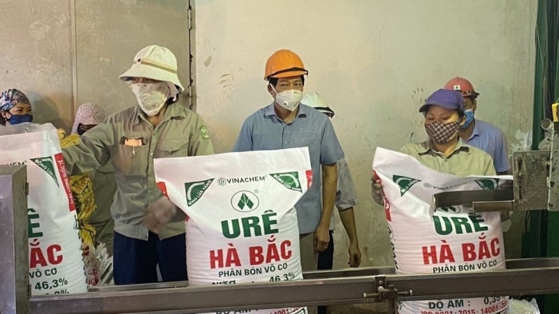 Tái cơ cấu khoản nợ giúp Đạm Hà Bắc (DHB) báo lãi hơn 1.600 tỷ trong quý cuối năm 2023