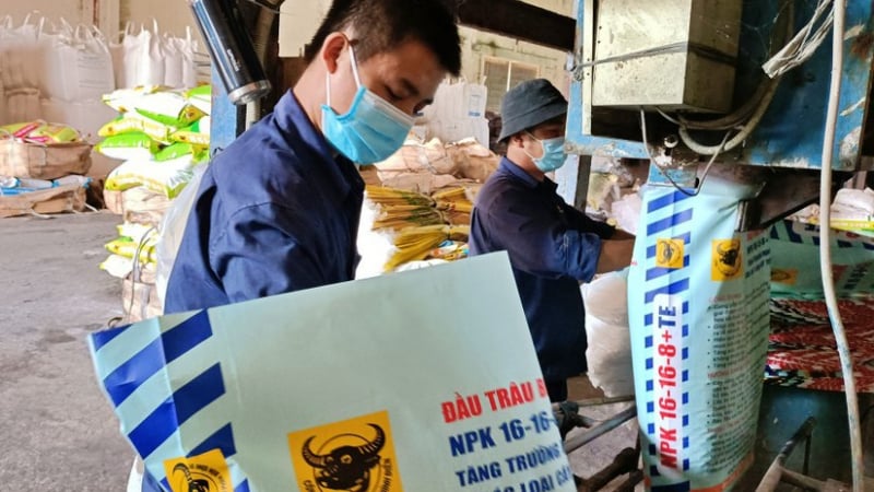 Phân bón Bình Điền (BFC) hoàn thành 89% kế hoạch năm 2023