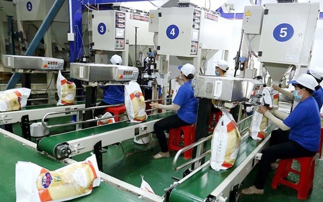 Trung An (TAR) lỗ kỷ lục kể từ khi niêm yết, cổ phiếu 'ăn khách' một thời bị hạn chế giao dịch