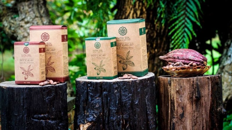 [Biz Insider] Nutri Soil - Từ trái ca cao đến đưa mắc ca ra thế giới