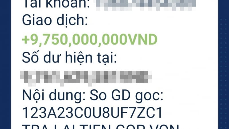 danviet.vn