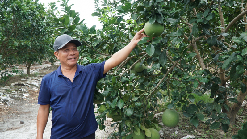 Tăng trưởng GRDP ngành nông nghiệp Thừa Thiên Huế cao nhất từ trước đến nay 