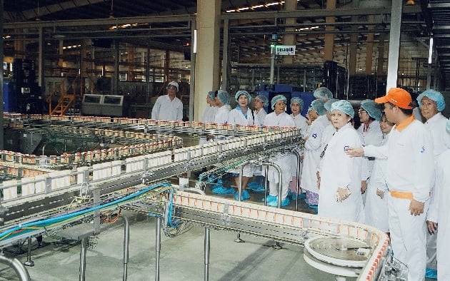 Khách hàng dùng Vinamilk hơn 40 năm, ấn tượng trước siêu nhà máy hiện đại, khép kín