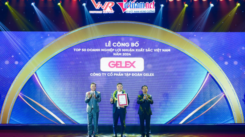GELEX lãi trước thuế 2.270 tỷ đồng sau 9 tháng