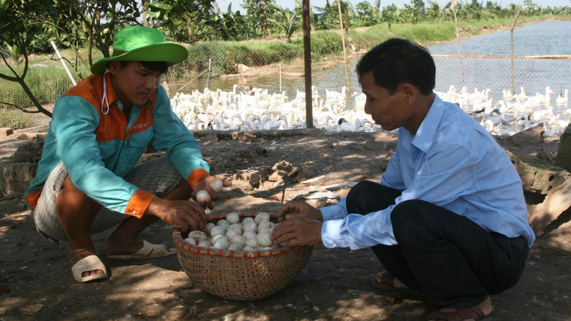 Quỳnh Phụ điển hình xây dựng NTM: Từ nâng cao nhận thức đến cơ chế kích cầu