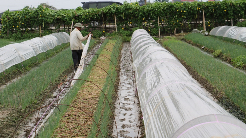 Quỳnh Phụ điển hình xây dựng NTM: Chủ trương đúng tạo đòn bẩy trúng