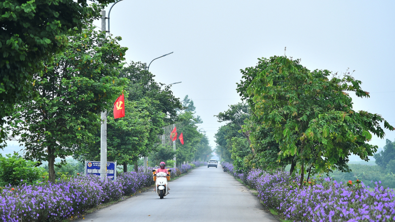 Minh Quang: Xã đạt chuẩn NTM nâng cao, khơi dậy niềm tự hào và đoàn kết của người dân huyện Ba Vì, Hà Nội