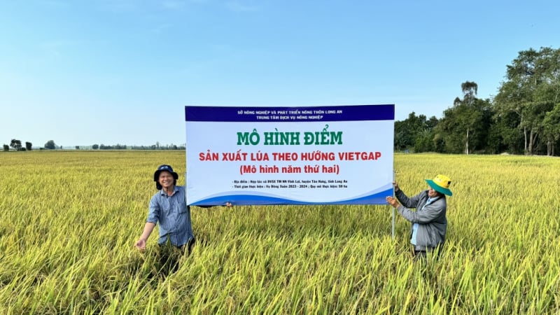 Cần quy định VietGAP trở thành tiêu chuẩn bắt buộc khi sản xuất nông sản