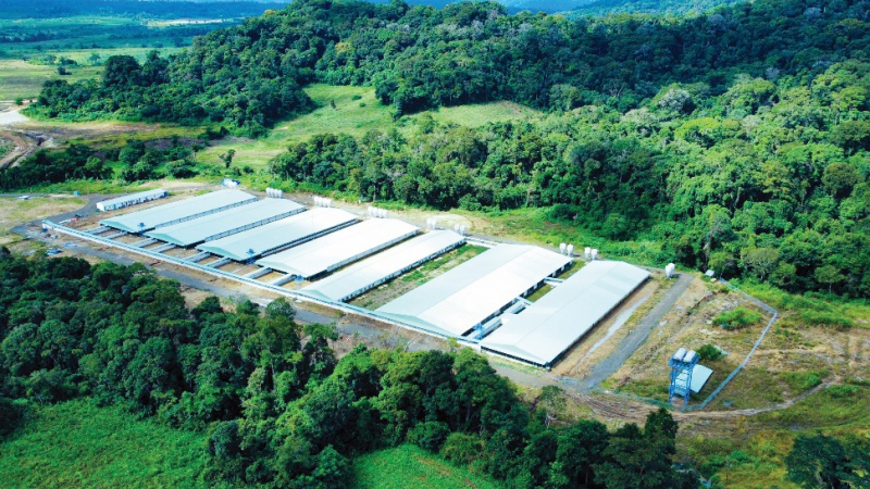 Trang trại heo Mavin đạt tiêu chuẩn toàn cầu GlobalGAP