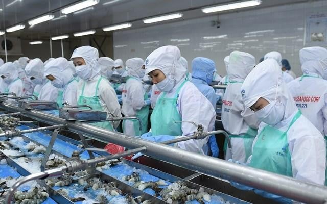Doanh số tháng 11 của Sao Ta (FMC) đạt 18,38 triệu USD, tăng 5%