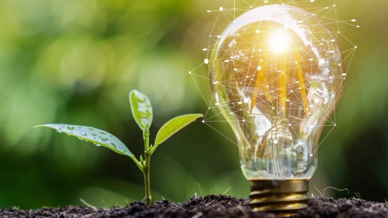 Đảm bảo cung ứng điện: 'Sếp' lớn EVN, TKV và PVN được 'nhắc tên' 