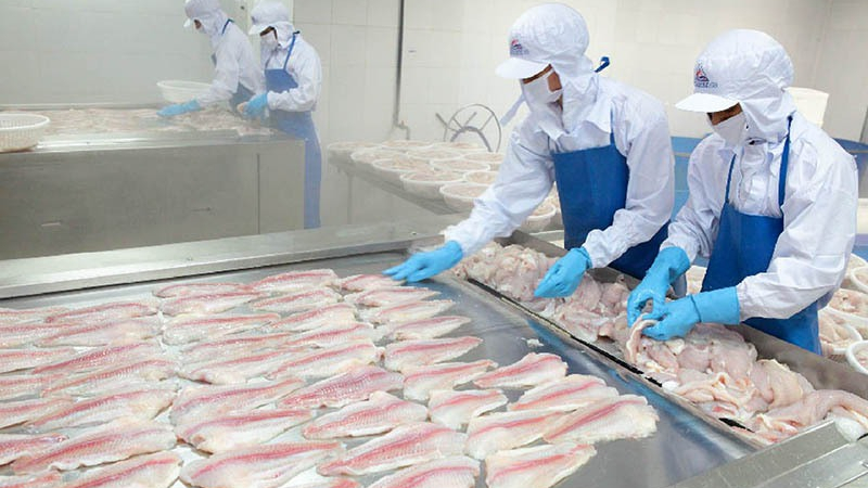 Thuỷ sản Mekong (AAM) lên kế hoạch lãi 1 tỷ đồng